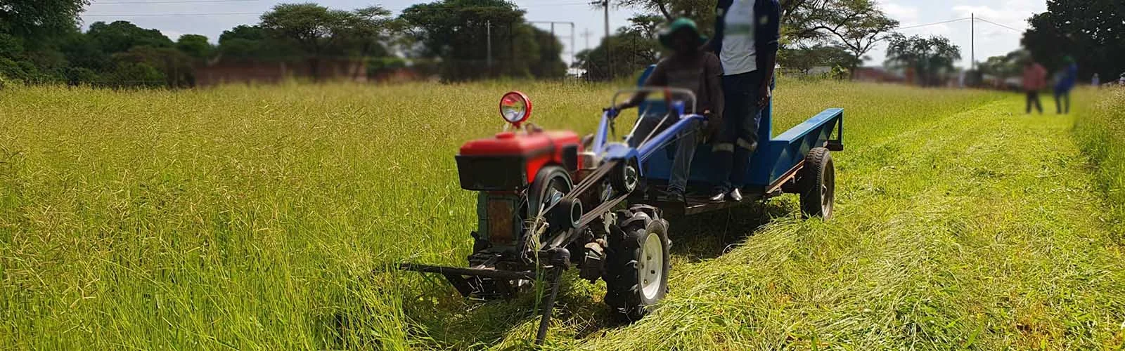 Walk-Behind Tractors - The Future of Sustainable Farming in Zimbabwe